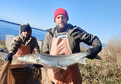 Матвиенко: предложения СФ по поддержке рыболовной отрасли направят в кабмин