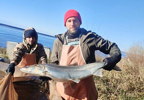 Матвиенко: предложения СФ по поддержке рыболовной отрасли направят в кабмин