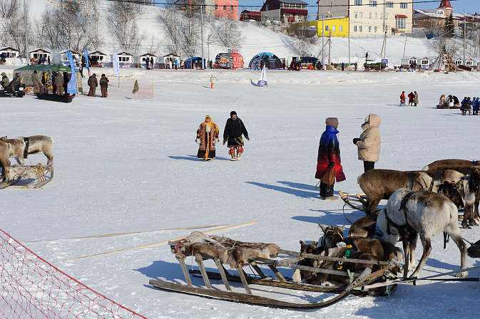 арктика, салехард