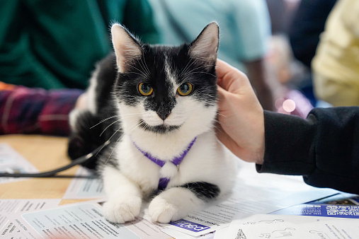 <p>Фото: Александр Авилов/ Агентство городских новостей «Москва»</p>