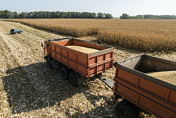 В СФ предлагают разделить страховые риски при перевозке зерна из новых регионов на военные и невоенные 