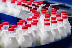 Россияне стали пить больше молока