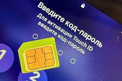 В СФ поддержали рекомендации МВД по цифровой гигиене