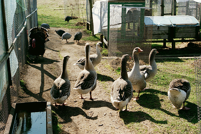 Фото: Victor Lisitsyn/ Global Look Press