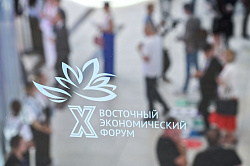 В СФ рассмотрят идеи резидентов префрежимов по корректировке отраслевых законов