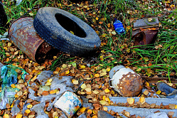 Якушев: волонтёры «Чистой Арктики» собрали более 22 тыс. тонн отходов 