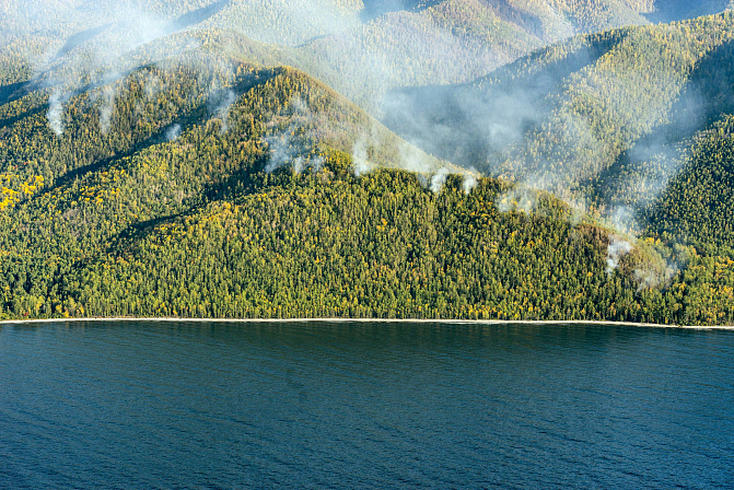 лесной пожар дым 