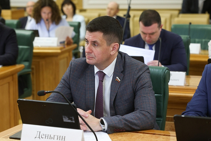 сенатор вадим деньгин