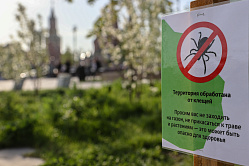 В какое время суток клещи наиболее активны