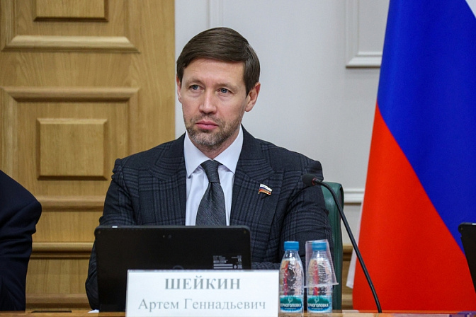 сенатор артём шейкин