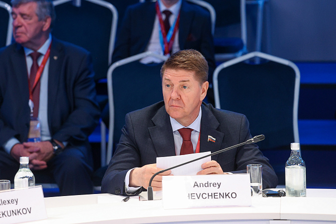 сенатор андрей шевченко