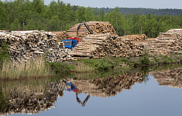 В СФ призвали главу Рослесхоза рассказать о декриминализации лесной отрасли