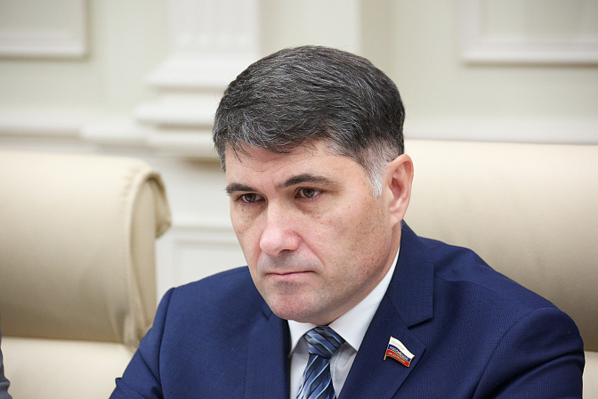 сенатор владимир пушкарёв