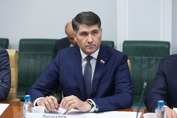 сенатор владимир пушкарёв