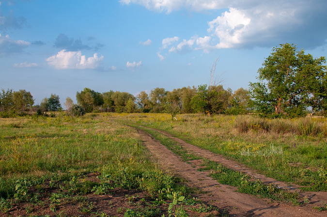дорога через поле земля агропром 