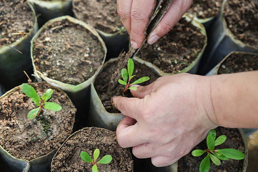 <p>Фото: Zhang Liyun/ XinHua/ Global Look Press</p>