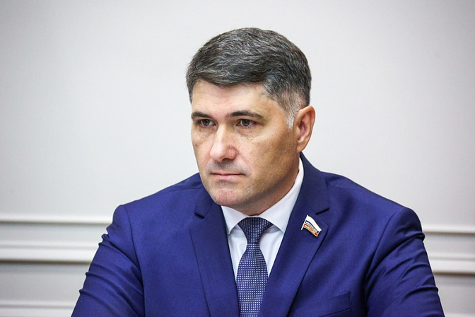 сенатор владимир пушкарёв