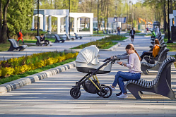 Счётная палата оценивает бюджет Соцфонда как сбалансированный