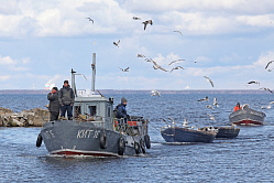 Рыбакам хотят субсидировать перевозку улова автотранспортом