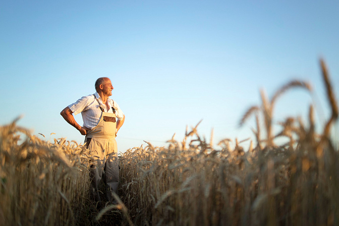 фермер в поле пшеницы