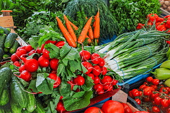 В СФ призвали усовершенствовать закупки фермерских продуктов для школ