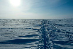 Росгидромет: на создание пунктов мониторинга вечной мерзлоты нужно 1,23 млрд руб