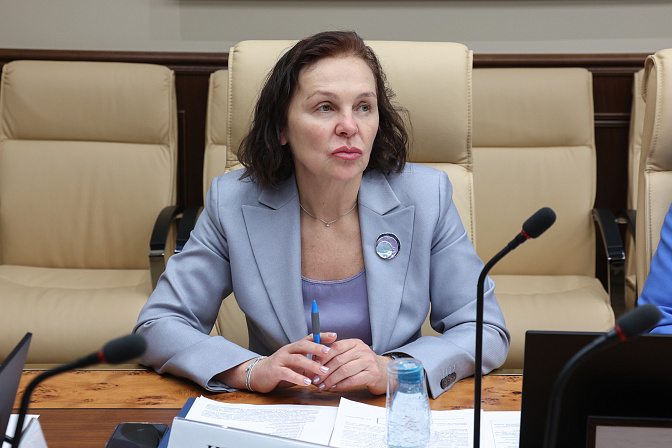 замдиректора департамента развития социальной сферы и сектора нко минэкономразвития рф елена иваницкая 