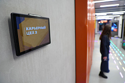 В СФ призвали создать равные условия в поиске работы для всех соискателей