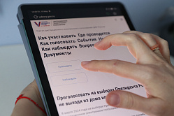 В СФ одобрили идею внести сервисы дистанционного голосования в «белые списки»