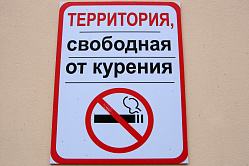 Самым некурящим регионом России оказалась Чечня