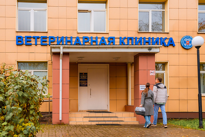 ветеринарная клиника 