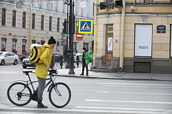 В России на 16% выросло число компаний на рынке курьерских услуг