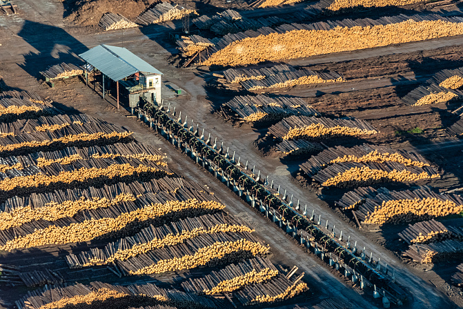 лесозаготовки лесопилка 