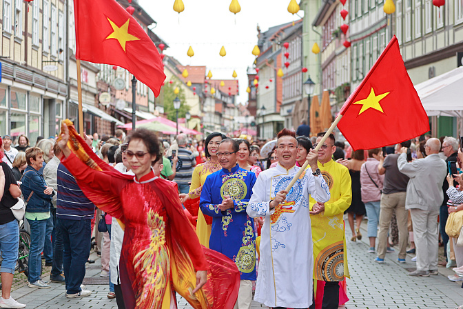 Вьетнам флаги