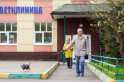 В 26 регионах России отсутствие обязательной регистрации питомца грозит штрафом