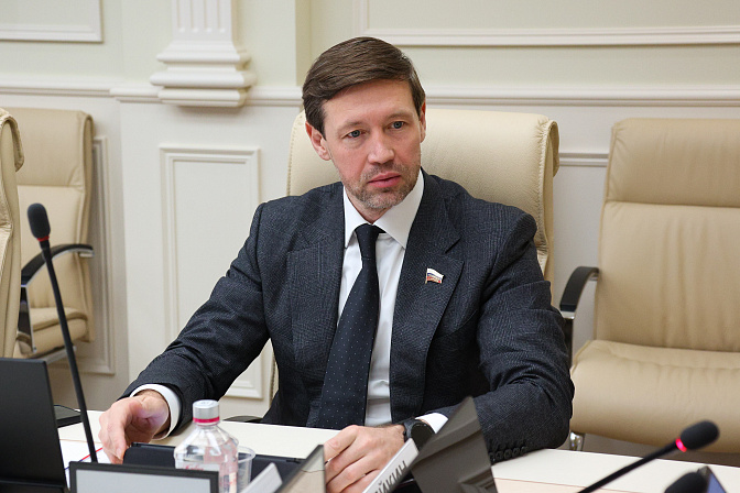 сенатор артём шейкин