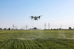 В СФ уверены, что беспилотники станут стандартом российского АПК через 5–7 лет
