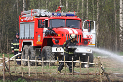 Рослесхоз назвал регионы, увеличившие финансирование на тушение лесных пожаров