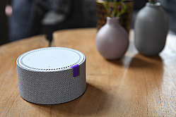 В СФ считают, что через умные колонки можно напоминать о едином дне голосования