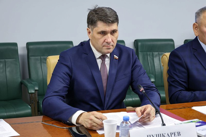 сенатор владимир пушкарёв