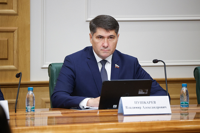сенатор владимир пушкарёв