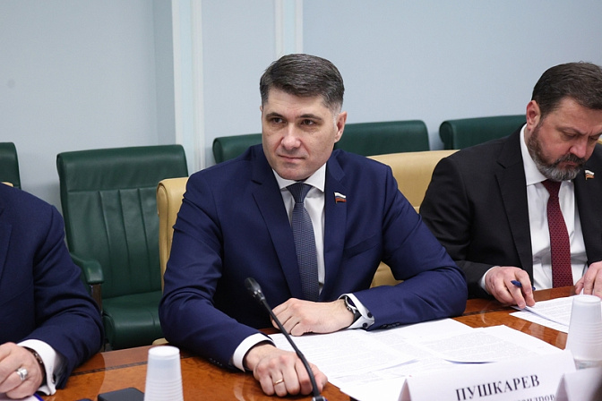 сенатор владимир пушкарёв