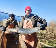 Матвиенко: предложения СФ по поддержке рыболовной отрасли направят в кабмин