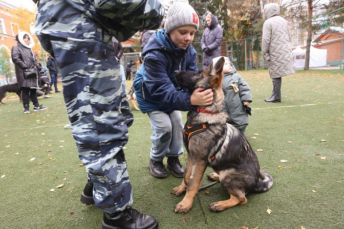 собака овчарка щенок