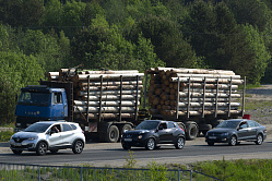Глава ФТС переадресовал кабмину вопрос о проблемах вывоза леса автотранспортом в Казахстан