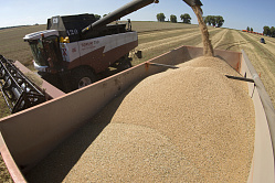В СФ считают хорошей тенденцией подорожание российского зерна на экспорт