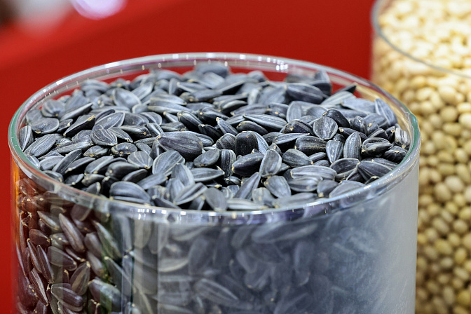 семена семечки агропром