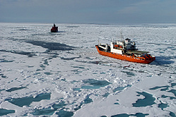 В СФ призвали строить больше портов и причалов для развития северного завоза