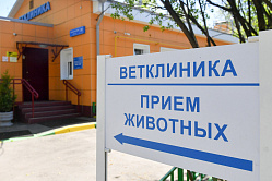 В СФ считают, что снизить цены в ветеринарных клиниках поможет телемедицина