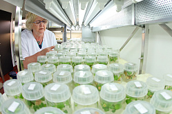 В Минобрнауки рассказали об усилении поддержки прикладной науки в АПК